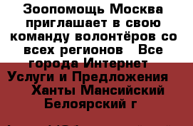 Зоопомощь.Москва приглашает в свою команду волонтёров со всех регионов - Все города Интернет » Услуги и Предложения   . Ханты-Мансийский,Белоярский г.